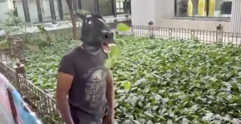 Captan a joven Therian comiendo plantas y hablando de impulsar una iniciativa de Ley en NL