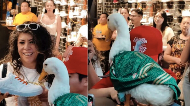 Pato Merlín ya tiene su línea de tenis: es una edición limitada de 500 pares
