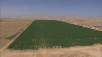 Tenemos la tecnología para “revivir” los desiertos del mundo y poder sembrar en ellos: Israel