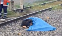 Conmueve perrito al permanecer con su amo que fue arrollado por el tren en NL.