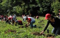 Michoacan contratará a 200 mil jornaleros para reforestar y sembrar masivamente. 