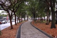 Gobierno de Guadalajara entrega rehabilitación del camellón de Paseo de la Arboleda  