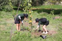 Tlajo consolida acciones por un futuro verde y sustentable