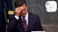 ONC revela que Peña Nieto uso cifras de seguridad 
