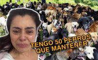 Desde que Juan está en la cárcel, no tengo dinero para mantener a mis 50 perros: Yadhira Carrillo