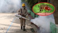 Jalisco es primer lugar en casos de dengue; supera a Veracruz y a Chiapas. 