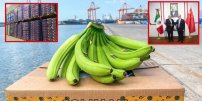 China recibe primer embarque de plátano mexicano