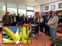 Gestión del precio de garantía del maíz “avanza para bien”: Rubén Rocha