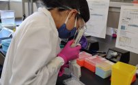 Desarrollan científicos de la UNAM prueba rápida para detectar Covid-19