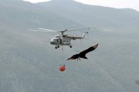 SEMAR ayuda con helicóptero y personal para COMBATE de incendio en Cañón del Sumidero