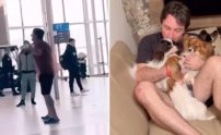 Encuentran a perritos extraviados en aeropuerto tras llanto viral de su dueño